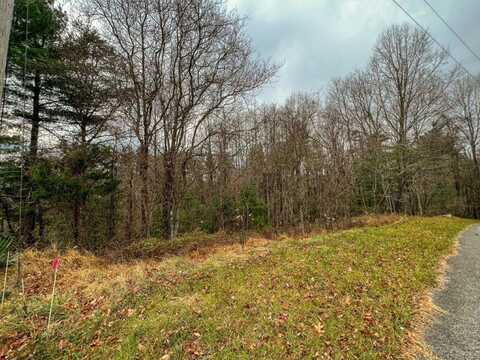 Lot 115 Old Hollow Trail, Fancy Gap, VA 24328