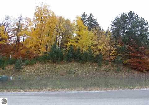 Lot 90 Eden Street, Kingsley, MI 49649