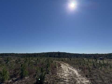 Aspalaga Road, Chattahoochee, FL 32324