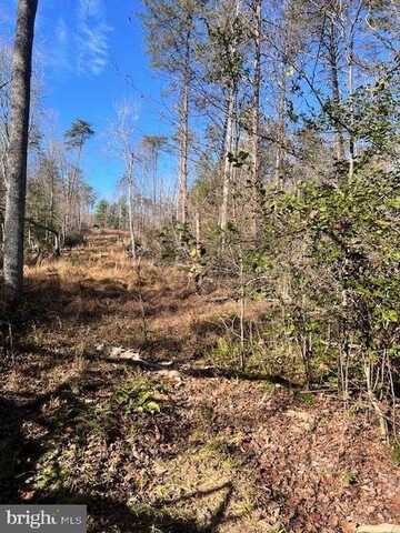 Lot 5998 VERMONT ROAD, RHOADESVILLE, VA 22542