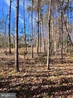 (lot 5999) VERMONT ROAD, RHOADESVILLE, VA 22542