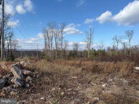 CAPON WOODS RESORT, HIGH VIEW, WV 26808