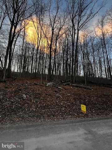 LOT 217, HIGH TOP ROAD, LINDEN, VA 22642