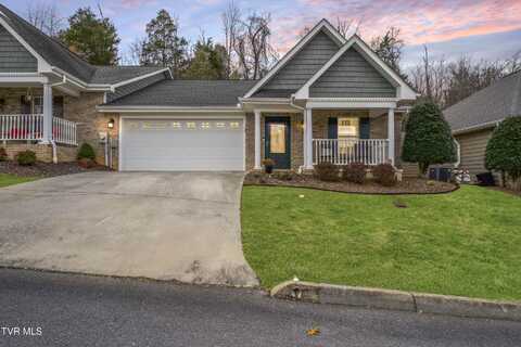 54 Hiddenbrook Lane, Gray, TN 37615