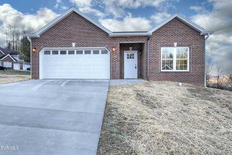 3815 Oakley Pl Place, Kingsport, TN 37664