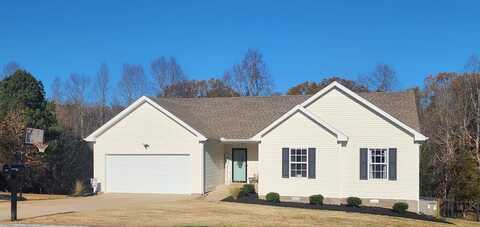 285 Hickory Lake Dr, BUCHANAN, TN 38222