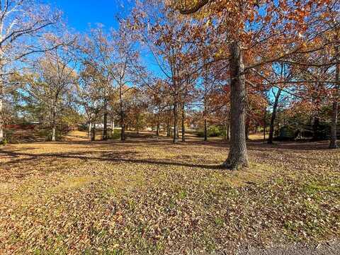 Reese Dr., EVA, TN 38333