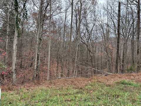 Lot 19 Cheyenne Drive, Jamestown, TN 38556