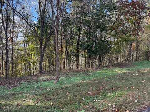 Deer Path Ct, SMITHVILLE, TN 37166