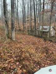 17 Lakeside Trail, Martin, GA 30557