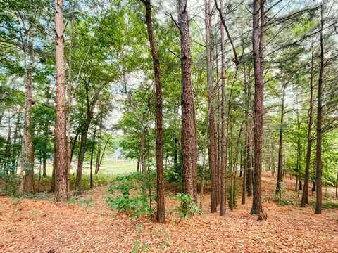 517 W Pleasant Colony Drive, Aiken, SC 29803