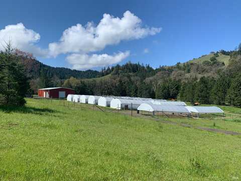 2101 W Highway 20 Highway, Willits, CA 95490