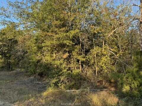 3367 Beaver Creek Road, Caldwell, TX 77836