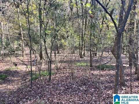 1541 N WOLF CREEK ROAD, PELL CITY, AL 35125