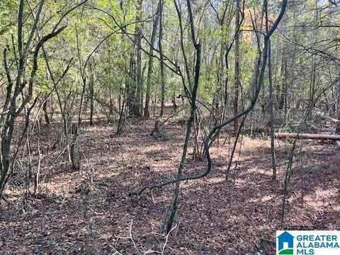 1571 N WOLF CREEK ROAD, PELL CITY, AL 35125