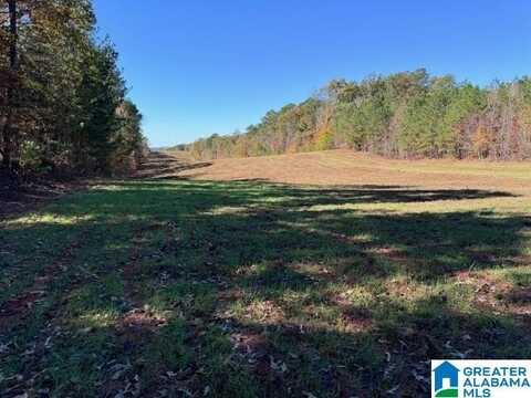 COUNTY ROAD 823, WADLEY, AL 36274