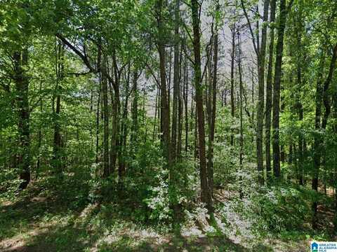 6837 BLUEBERRY ROAD, HUEYTOWN, AL 35023