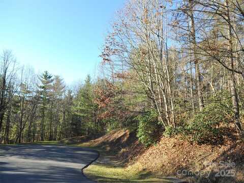 000 Didrikson Way, Hendersonville, NC 28739