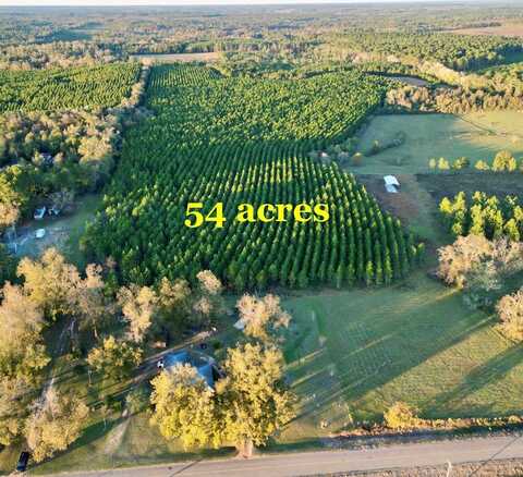 54 ACRES Bill Yance Rd, Columbia, AL 36319