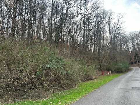 Lot 2 Poplar Grove, Pikeville, KY 41501