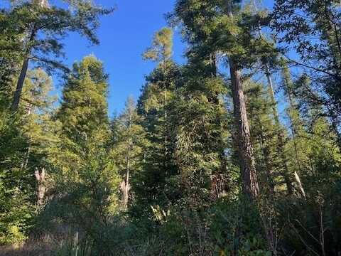 5091 Greenwood Heights Drive, Kneeland, CA 95549