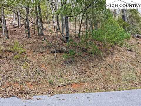 Tbd Trout Lake Road, Deep Gap, NC 28618