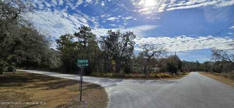 0 Piping Plover Avenue, Weeki Wachee, FL 34614