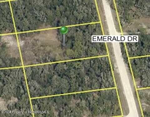 0 Emerald Drive, Ridge Manor, FL 33523