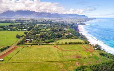 KAUAPEA RD, KILAUEA, HI 96754