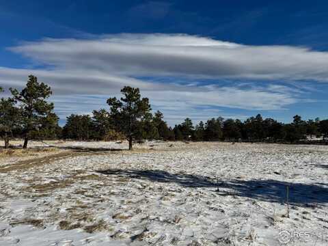 62 White Slide Mountain Ct, Livermore, CO 80536