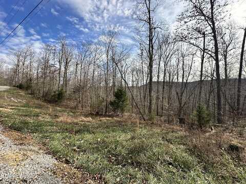 Cheyenne Dr, Jamestown, TN 38556