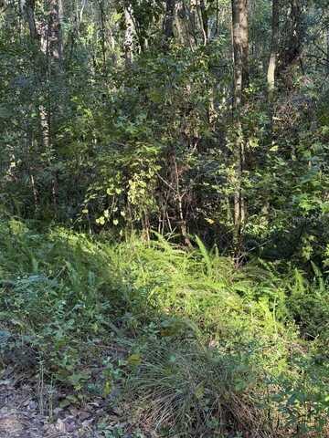 Tbd NW 7TH STREET, OCALA, FL 34482