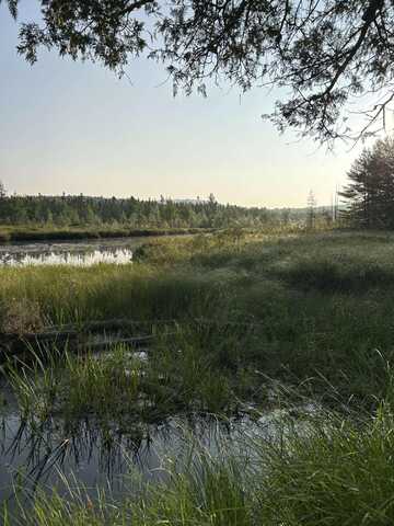252 Blaine Avenue, Guilford, ME 04443