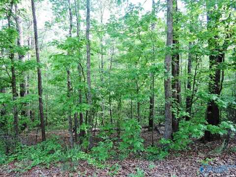 Lot 4 Harbor Lights Trail, Jasper, AL 35504