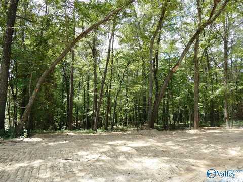 Lot 49 Harbor Loop, Jasper, AL 35504
