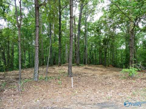 Lot 77 Broken Arrow, Jasper, AL 35504