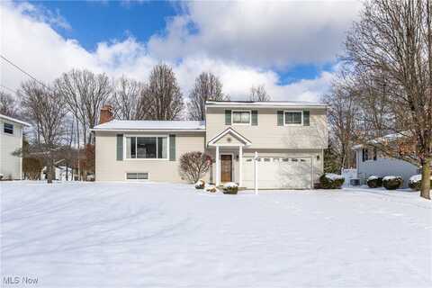 10121 Belmeadow Drive, Twinsburg, OH 44087