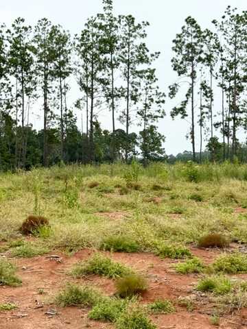 41 Quiet Cove Road, Florien, LA 71429