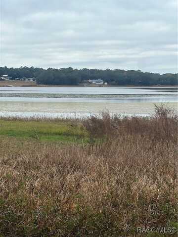 Lot 291.292 Shorewood Drive, Dunnellon, FL 34431