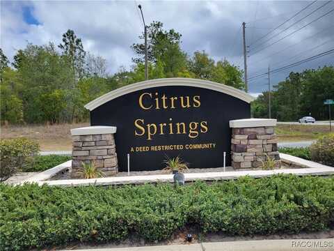 3930 W Fireside Lane, Citrus Springs, FL 34433