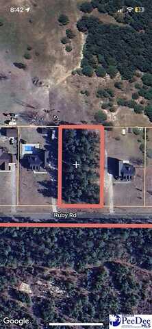 1 Ruby Road, Hartsville, SC 29550