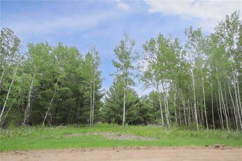 Tbd Portage Circle, Browerville, MN 56438