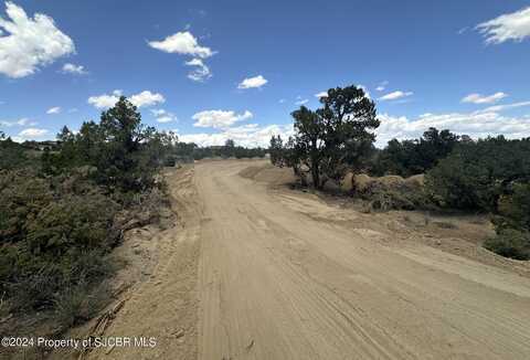 Lot 22 ANTELOPE JUNCTION, Farmington, NM 87402