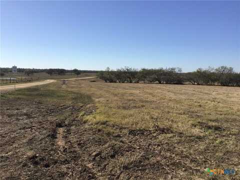 Tbd country lane, Gonzales, TX 78959