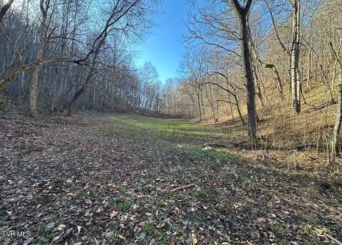 Tbd Lick Creek Drive, Fort Blackmore, VA 24250