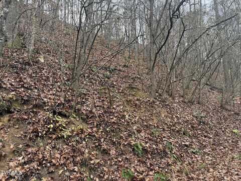 0 Fox Hollow Lane, Bluff City, TN 37618