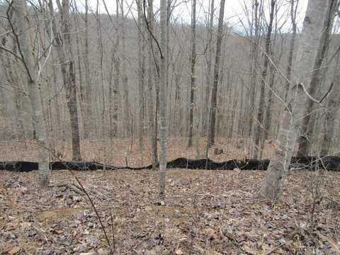 Lot 60 W Bobcat Lane, WILDER, TN 38589