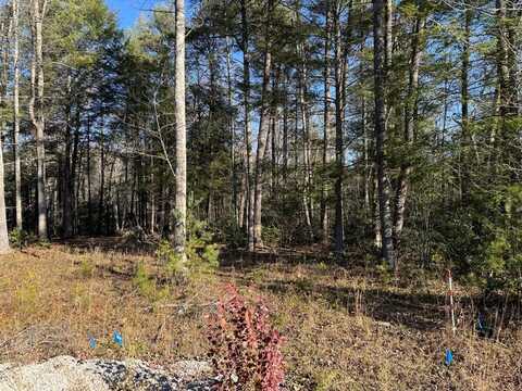 Lot 16 Ferry Bend Tr., CROSSVILLE, TN 38571