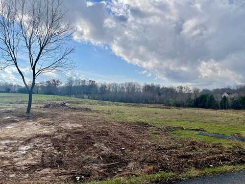 Lot 3 Thomas Twin Oaks Road, Baxter, TN 38544