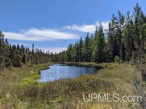 Lot 43C E Fence Lake, Michigamme, MI 49861